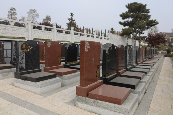 玫瑰園
