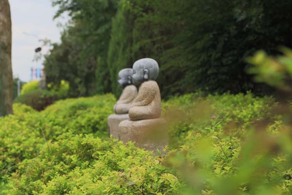 園區(qū)一角