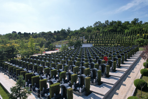 龍恩A1