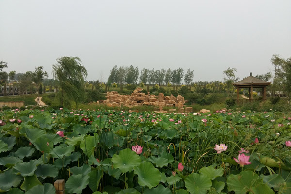 在沈陽陵園祭祀時不能帶什么？需要帶的物品有哪些?