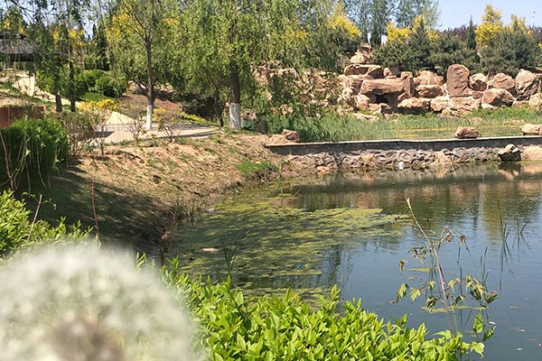 沈陽墓園墓碑的形式、位置和雕刻的內(nèi)容，龍生墓園遵循著傳統(tǒng)的風水學原則！