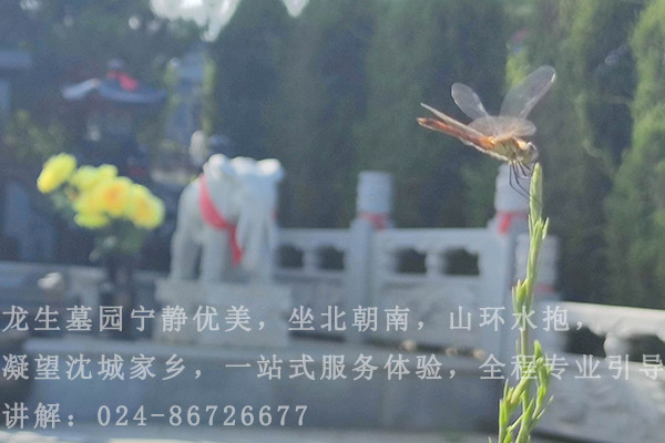 沈陽(yáng)市新民公墓、新民墓園、新民墓地、新民陵園行業(yè)中的歷法應(yīng)用與文化傳承