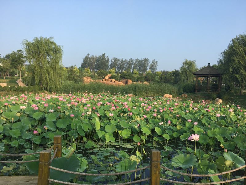 龍生光影為媒，沈陽(yáng)墓園之美！