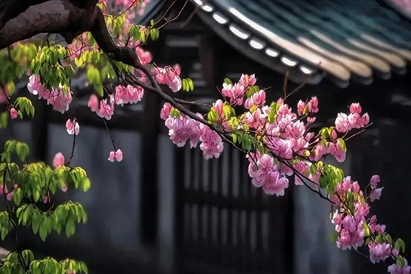 沈陽龍生墓園人文紀(jì)念園帶您了解豐富的墓園景觀文化內(nèi)涵