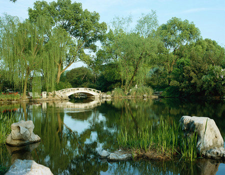 龍生墓園,龍生一角