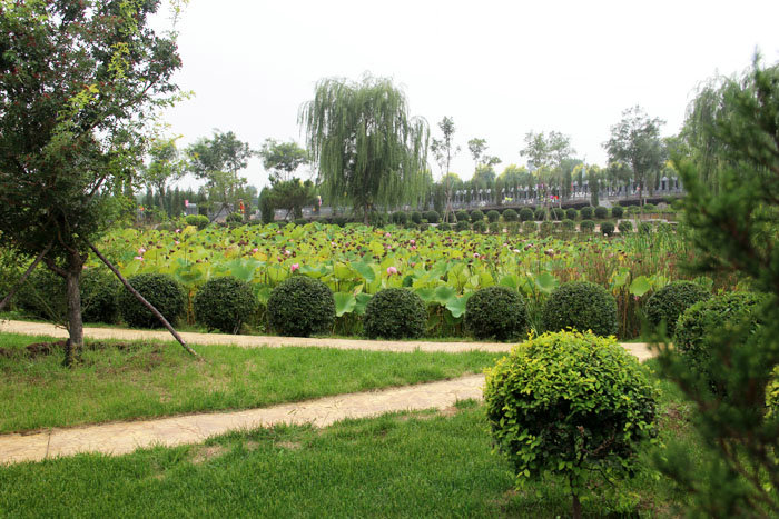 沈陽龍生墓園,龍生墓園,龍生墓地,沈陽墓園,沈陽墓地