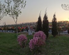 在沈陽(yáng)墓園購(gòu)買墓地要了解的殯葬常識(shí)